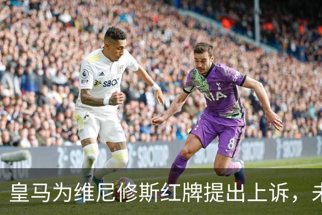 皇马为维尼修斯红牌提出上诉，未来赛事悬而未决